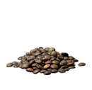 Green lentils